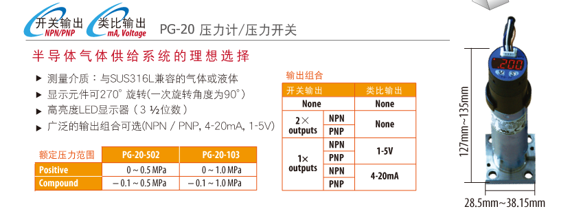 PG-20壓力計/壓力開關(guān)